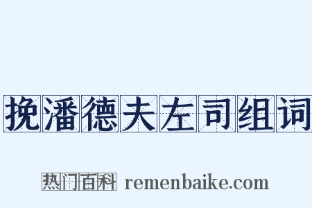 挽潘德夫左司组词是什么意思的图片